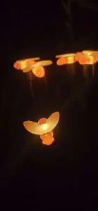 lampki pszczele 2