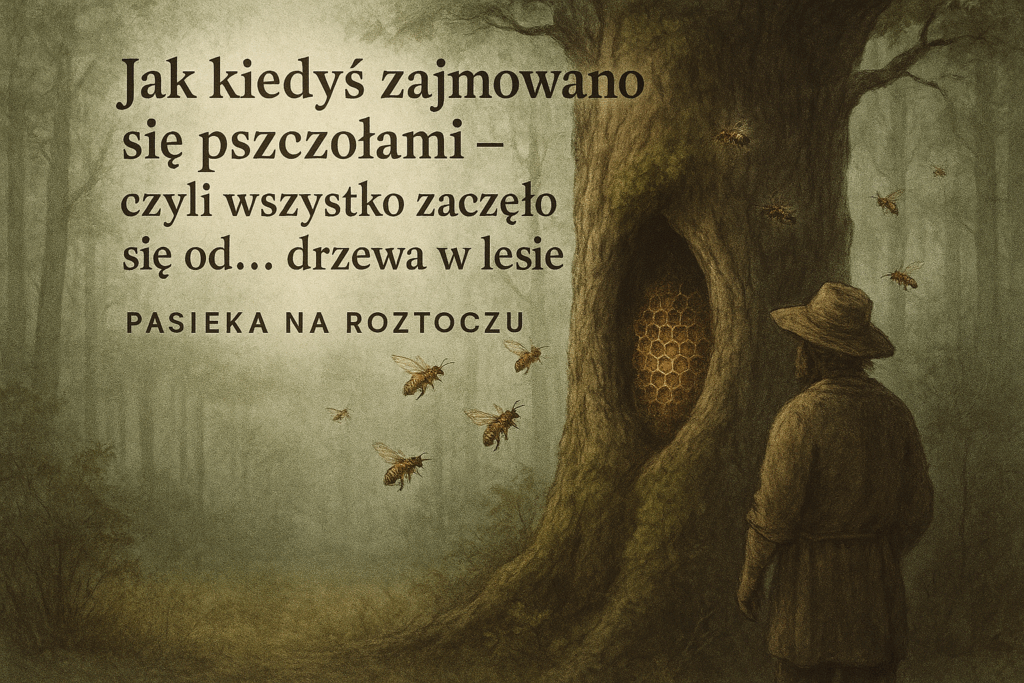 Jak kiedyś zajmowano się pszczołami – czyli wszystko zaczęło się od… drzewa w lesie