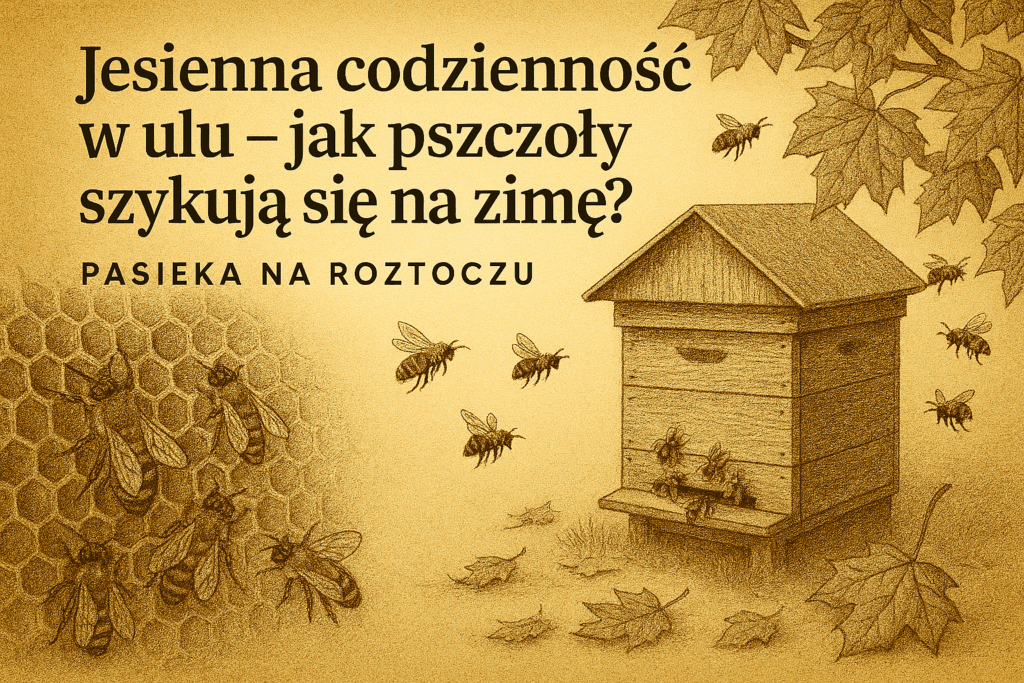 Jesienna codzienność w ulu - jak pszczoły szykują się na zimę?