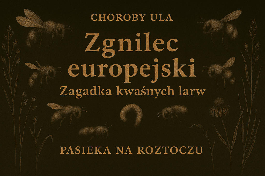 Zgnilec europejski: Zagadka kwaśnych larw