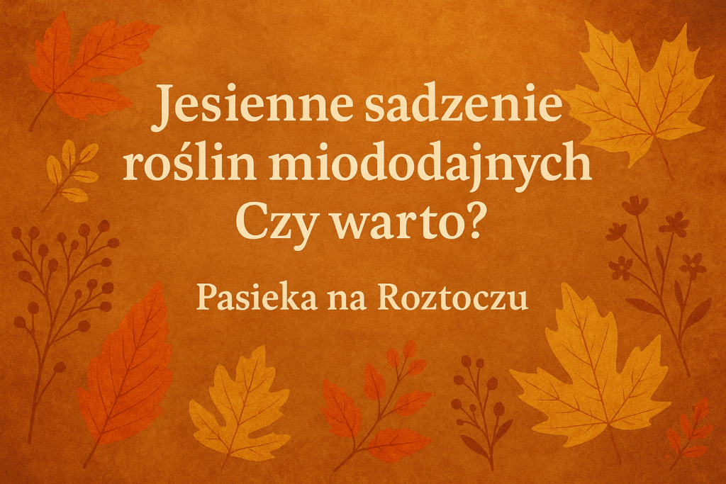 Jesienne sadzenie roślin miododajnych: Czy warto?