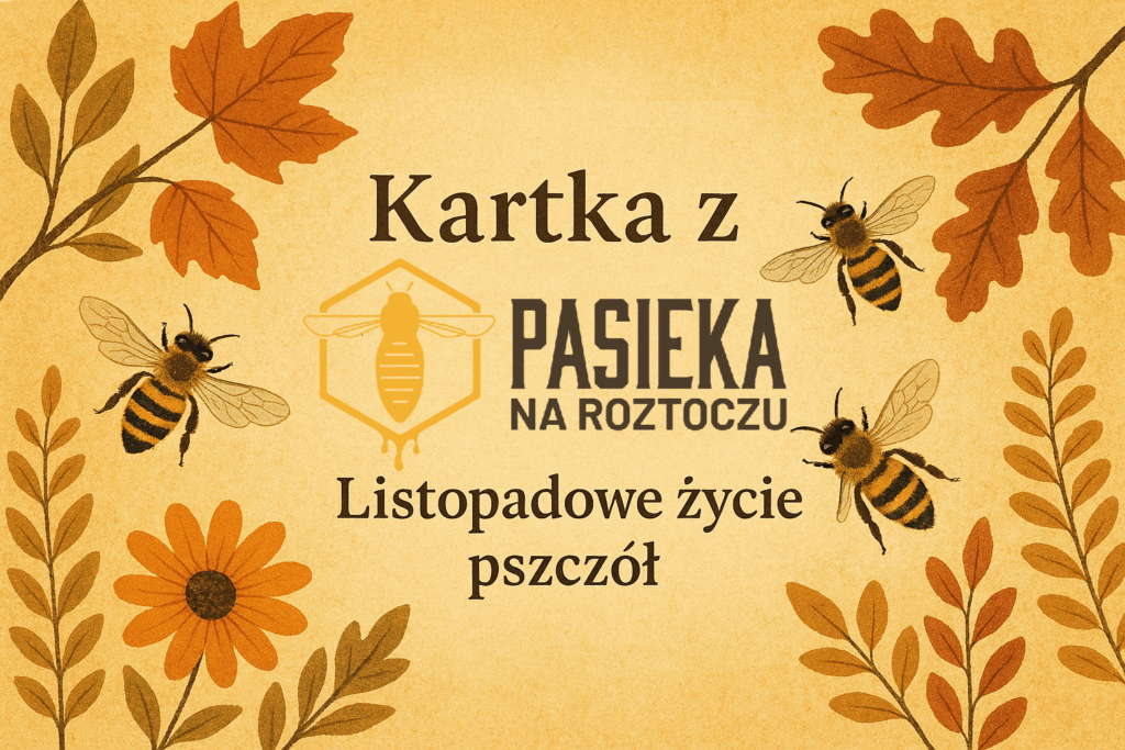 Kartka z Pasieki na Roztoczu: Listopadowe życie pszczół