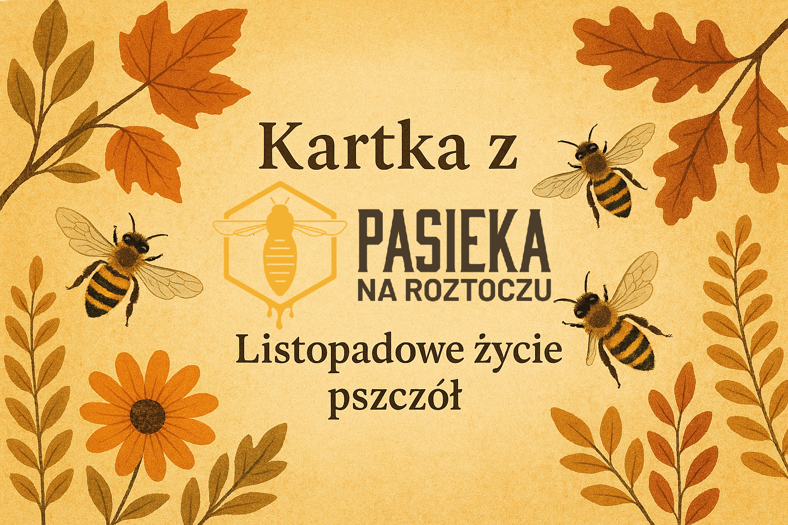Kartka z Pasieki na Roztoczu: Listopadowe życie pszczół