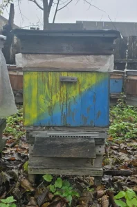 Pasieka w listopadzie