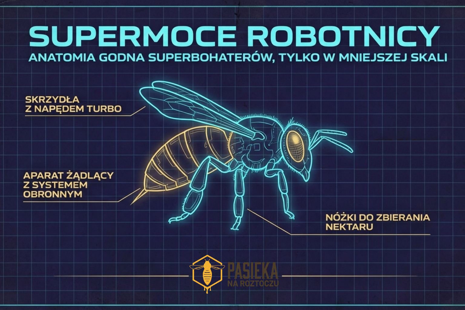 Supermoce robotnicy: Anatomia godna superbohaterów, tylko w mniejszej skali