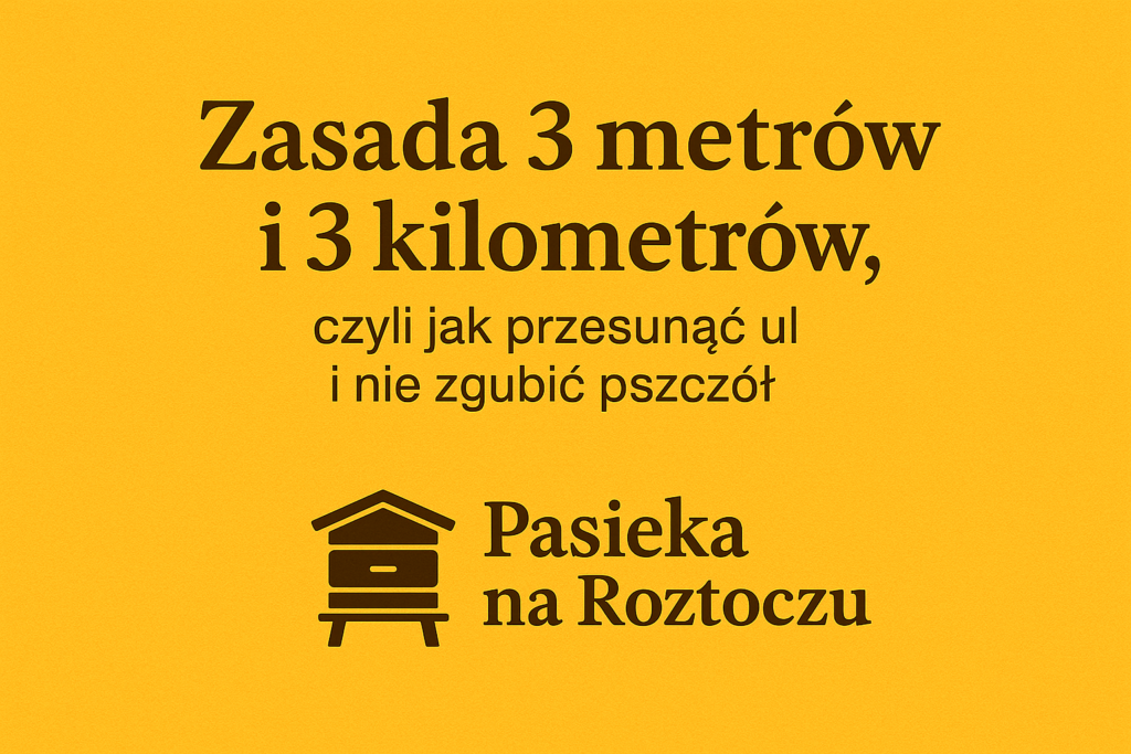 Zasada 3 metrów i 3 kilometrów, czyli jak przesunąć ul i nie zgubić pszczół
