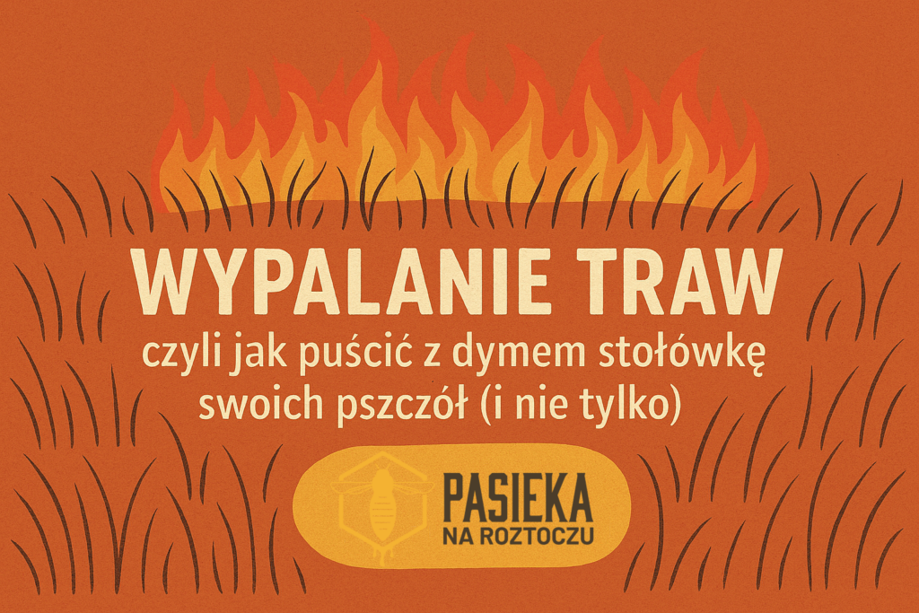 Wypalanie traw, czyli jak puścić z dymem stołówkę swoich pszczół (i nie tylko)