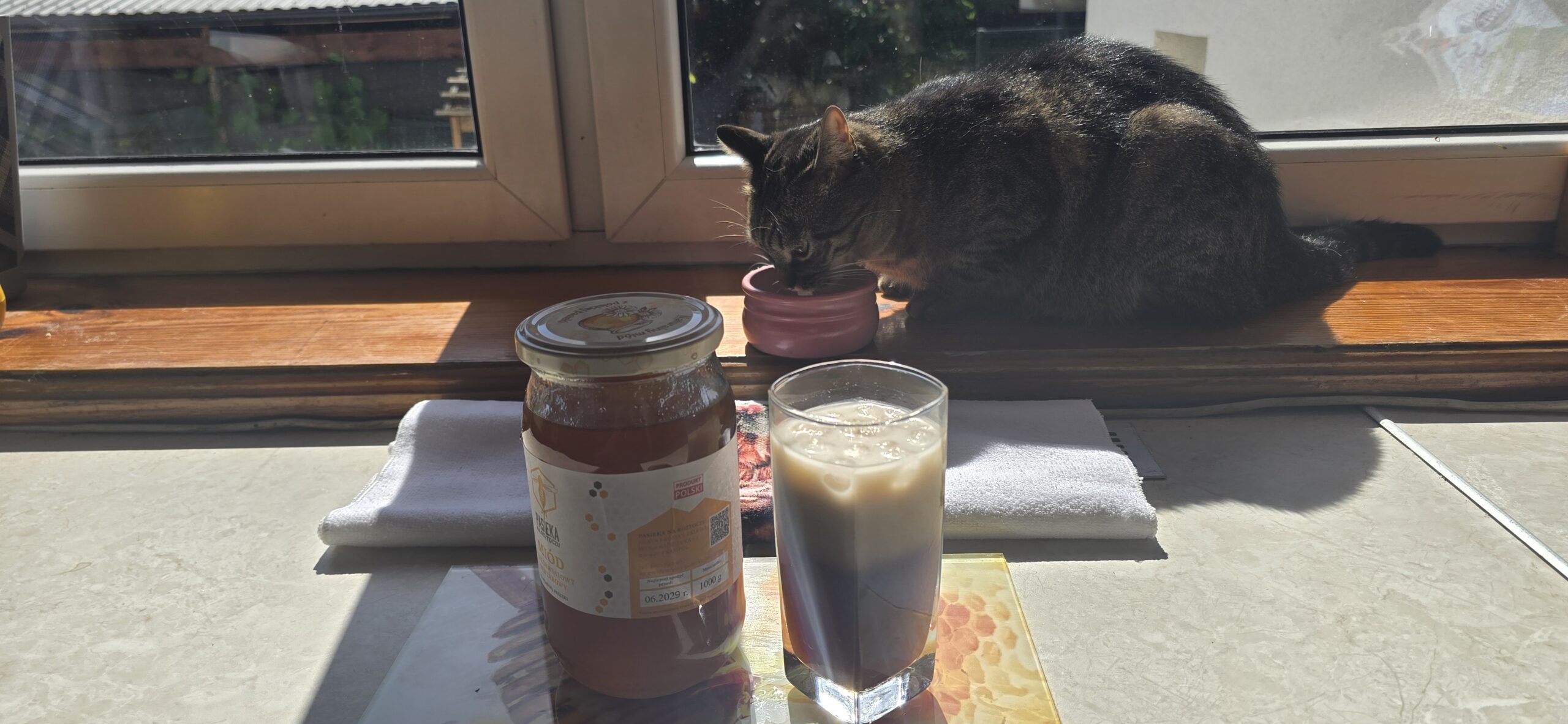 Cold Brew z miodem i kot wyjadający składniki na kawę